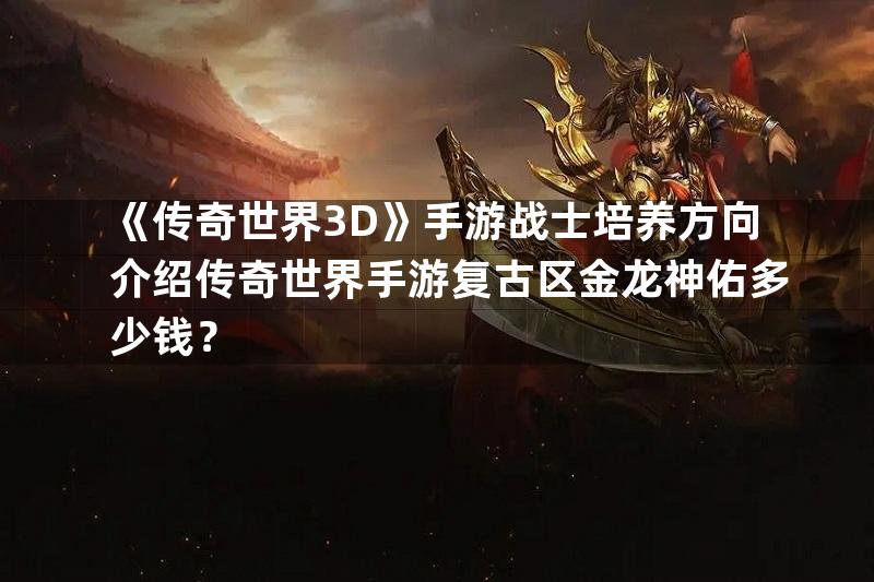 《传奇世界3D》手游战士培养方向介绍传奇世界手游复古区金龙神佑多少钱？