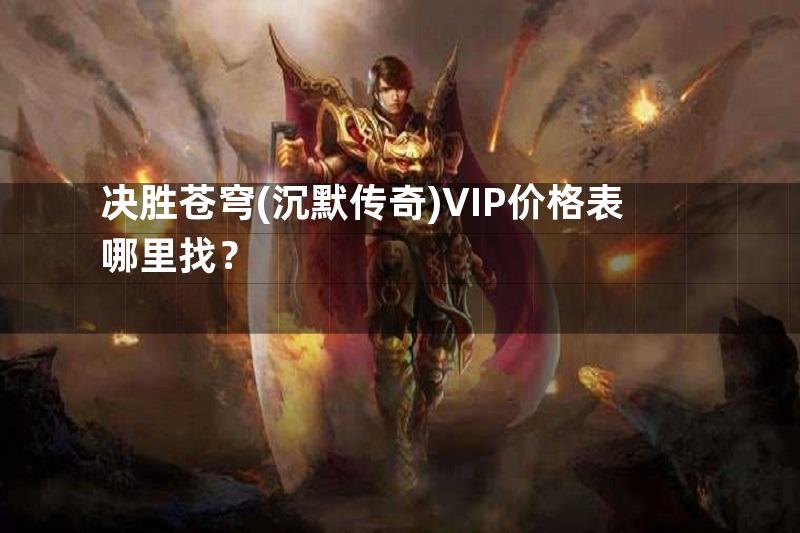 决胜苍穹(沉默传奇)VIP价格表哪里找？