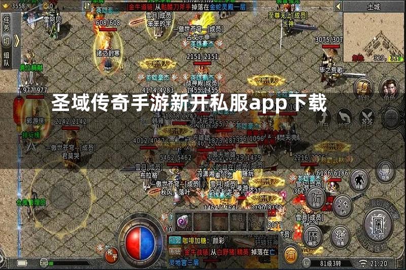 圣域传奇手游新开私服app下载