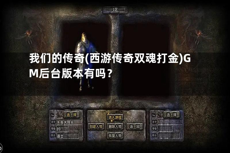 我们的传奇(西游传奇双魂打金)GM后台版本有吗？