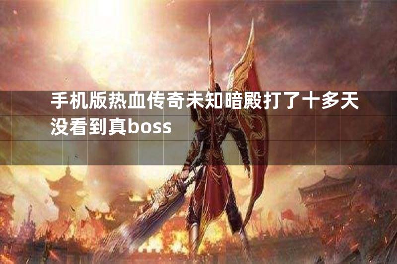 手机版热血传奇未知暗殿打了十多天没看到真boss